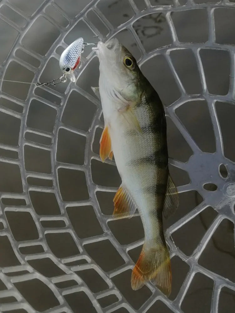 VTAVTA Mini Crank Bait 5pcs Floating Minnow Wobblers