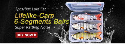 VTAVTA 5pcs Segmented Fishing Lures Set Fishing Box